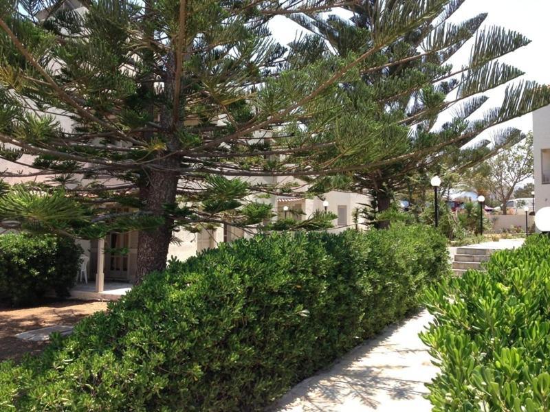Panorama-Seaview Studios & Apartments Hersonissos (Crete) Exterior foto
